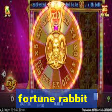 fortune rabbit - teste